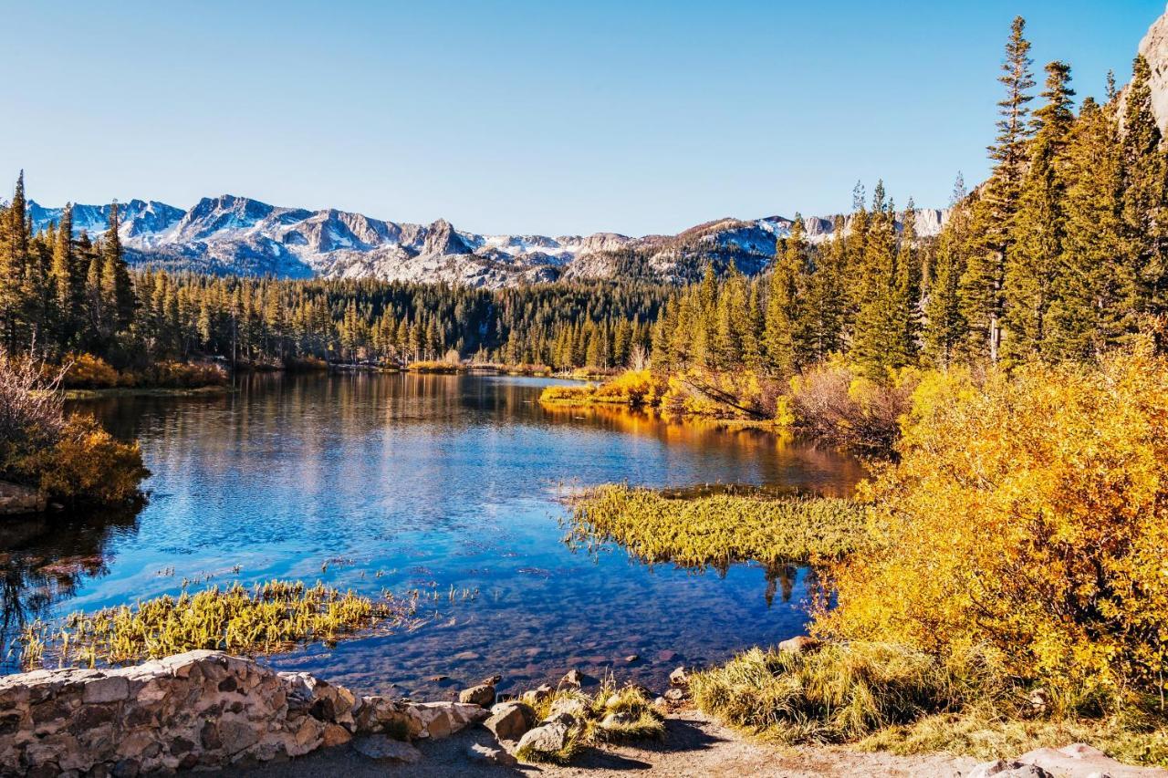 Juniper Springs 444 * Mammoth Lakes